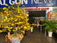 Bán nhà 47 Phạm Viết Chánh, Quận 1 Bán nhà 47 Phạm Viết Chánh, Quận 1