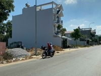 Bán đất gần vòng xoay Trần Văn Giàu Tỉnh Lộ 10 giá đầu tư,SHR,XDTD Bán đất gần vòng xoay Trần Văn Giàu Tỉnh Lộ 10 giá đầu tư,SHR,XDTD