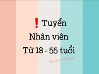 Cần gấp nhân viên kế toán - nhận việc trong ngày Cần gấp nhân viên kế toán - nhận việc trong ngày