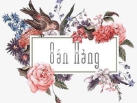 Cần tuyển nhân viên bán hàng không cần kinh nghiệm Cần tuyển nhân viên bán hàng không cần kinh nghiệm