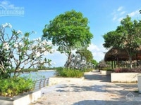 Bán Lô Đất Biệt Thự 390m2 View Sông , Khu Du Lịch BCR Tam Đa, SHR, Q9 Bán Lô Đất Biệt Thự 390m2 View Sông , Khu Du Lịch BCR Tam Đa, SHR, Q9
