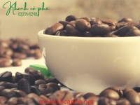Cung cấp cafe hạt nguyên chất,rang theo yêu cầu tại Bình dương Cung cấp cafe hạt nguyên chất,rang theo yêu cầu tại Bình dương