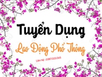 🥑🥑 Cần Nam/Nữ phụ đóng gói và kiểm kê hàng ( Đi làm ngay ) 🥑🥑 Cần Nam/Nữ phụ đóng gói và kiểm kê hàng ( Đi làm ngay )