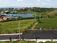 Đất view hồ và đồi chè ngay ngã 5 Đambri chỉ từ 1 tỷ 3 - sổ đầy đủ Đất view hồ và đồi chè ngay ngã 5 Đambri chỉ từ 1 tỷ 3 - sổ đầy đủ