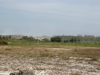 1664 m2 đất có sổ , chính chủ sang nhượng 1664 m2 đất có sổ , chính chủ sang nhượng