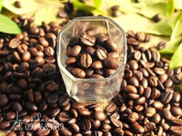 Cà phê hạt rang pha máy espresso giá sỉ 12 tháng không đổi Cà phê hạt rang pha máy espresso giá sỉ 12 tháng không đổi