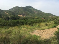 Cần bán 2.5ha đất đường tỉnh lộ 3 gần trường lái hồng bàng Cần bán 2.5ha đất đường tỉnh lộ 3 gần trường lái hồng bàng
