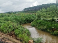3500m2 mặt tiền đường Tôn Thất Thuyết view suối rừng thông 3500m2 mặt tiền đường Tôn Thất Thuyết view suối rừng thông