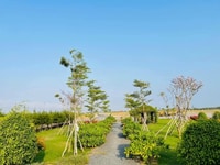 Bán đất nền ngay mặt tiền tỉnh lộ 9 Bán đất nền ngay mặt tiền tỉnh lộ 9