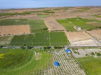 Đất rẻ đầu tư nằm trên mặt tiền đường liên huyện gần san bay, khu bảo Đất rẻ đầu tư nằm trên mặt tiền đường liên huyện gần san bay, khu bảo