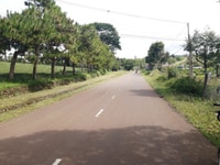 Đất thổ cư nghỉ dưỡng Bảo Lộc, 2 mặt tiền đường Lý Thái Tổ. Đất thổ cư nghỉ dưỡng Bảo Lộc, 2 mặt tiền đường Lý Thái Tổ.