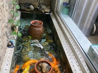 Bán Nhà, Mai Anh Tuấn, Đống Đa, 78m*5T*MT5m, 9 tỷ, Phân Lô, Gần Hồ Bán Nhà, Mai Anh Tuấn, Đống Đa, 78m*5T*MT5m, 9 tỷ, Phân Lô, Gần Hồ