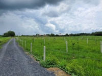 Chính chủ, bán 2000m² đất, Tân Phú Trung, Củ Chi Chính chủ, bán 2000m² đất, Tân Phú Trung, Củ Chi