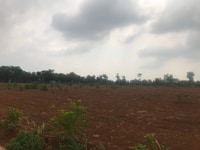 Bán lô đất ngang 35m dài 28m điện đường đầy đủ giá 1 tỉ 50 triệu Bán lô đất ngang 35m dài 28m điện đường đầy đủ giá 1 tỉ 50 triệu