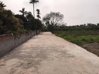 133m cạnh KCN Tràng Duệ 3 An Lão HP chỉ 5.9tr/m ngõ oto MTG 133m cạnh KCN Tràng Duệ 3 An Lão HP chỉ 5.9tr/m ngõ oto MTG