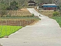 Bán gấp lô duy nhất 508m2 đất P.10 Đà Lạt Đèo Mimosa giá đầu tư Bán gấp lô duy nhất 508m2 đất P.10 Đà Lạt Đèo Mimosa giá đầu tư