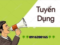 Cần tuyển 5 NV phụ kho bán hàng trực tiếp tại quầy Cần tuyển 5 NV phụ kho bán hàng trực tiếp tại quầy
