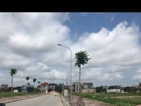 Chính chủ bán đất đô thị phía Nam (viện Nhi), thành phố Hải Dương Chính chủ bán đất đô thị phía Nam (viện Nhi), thành phố Hải Dương