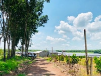 Đất Chơn Thành Bình Phước, ngay mặt tiền ĐT756 Đất Chơn Thành Bình Phước, ngay mặt tiền ĐT756