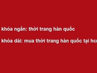 Quy trình SEO website tại Vio company Quy trình SEO website tại Vio company