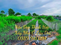 Bán Nền Đẹp Kênh Trung Ương Chợ Ông Hộ Xã Tân Quy Tây Bán Nền Đẹp Kênh Trung Ương Chợ Ông Hộ Xã Tân Quy Tây