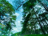 Đất nghĩ dưỡng view Hồ Sinh Thái ngay TTHC Bảo Lộc Đất nghĩ dưỡng view Hồ Sinh Thái ngay TTHC Bảo Lộc