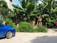 Bán lô đất gần biển Đồ Sơn Hải Phòng Bán lô đất gần biển Đồ Sơn Hải Phòng