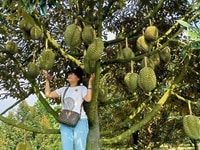 Phú An ,Tân Phú, Đồng Nai . Số đt bên dưới Phú An ,Tân Phú, Đồng Nai . Số đt bên dưới
