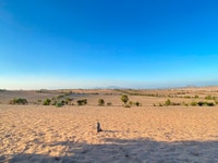 Lô đất HỒNG THÁI siêu hot chỉ 85.000m2 Lô đất HỒNG THÁI siêu hot chỉ 85.000m2