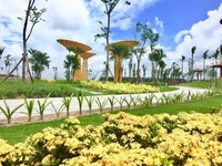 Bán đất sát đại lộ bình dương khu dân dư sầm uất Bán đất sát đại lộ bình dương khu dân dư sầm uất