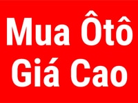 Mua các hiệu xe 5, 7, 16, 29 chổ, xe nhập khẩu ,xe bán tải, tải nhẹ. Mua các hiệu xe 5, 7, 16, 29 chổ, xe nhập khẩu ,xe bán tải, tải nhẹ.