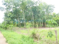 Chuyển nhượng lô đất rất đẹp, Giá rẻ mùa COVID Chuyển nhượng lô đất rất đẹp, Giá rẻ mùa COVID