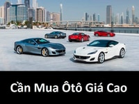 Cần mua Lexus: Es350, Rx350, Ls460, gx470, gs350, ls600... Cần mua Lexus: Es350, Rx350, Ls460, gx470, gs350, ls600...