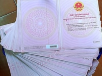 Cơ hội vàng cho các nhà đầu tư Cơ hội vàng cho các nhà đầu tư