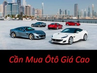 Mua ô tô đứng tên công ty, cá nhân, xe thế chấp giá cao Mua ô tô đứng tên công ty, cá nhân, xe thế chấp giá cao