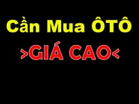 Cần mua gấp tất cả các loại ô tô 4-7 chỗ giá cao Cần mua gấp tất cả các loại ô tô 4-7 chỗ giá cao