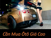 Mua ô tô 5 hoặc 7 chỗ gia đình sử dụng Mua ô tô 5 hoặc 7 chỗ gia đình sử dụng