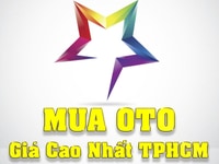 Công ty Nguyễn Minh chuyên mua bán ô tô - Dịch vụ cầm xe Công ty Nguyễn Minh chuyên mua bán ô tô - Dịch vụ cầm xe