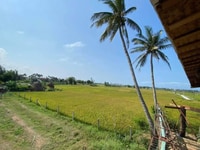 Bán Villa view lúa đường chính 4PN trung tâm An Mỹ- giá chỉ 8 tỷ Bán Villa view lúa đường chính 4PN trung tâm An Mỹ- giá chỉ 8 tỷ