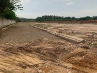 Bán gấp lô 600m2 đất phủ hồng, trục đường vành đai 4, liên cảng 911B Bán gấp lô 600m2 đất phủ hồng, trục đường vành đai 4, liên cảng 911B