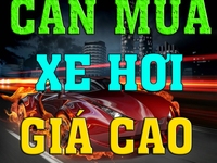 Ô TÔ QUANG PHÁT cần mua xe ô tô Fortuner, innova, vios, Rush,.... Ô TÔ QUANG PHÁT cần mua xe ô tô Fortuner, innova, vios, Rush,....