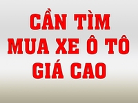 Cần mua xe ô tô, mua giá tới nóc. Cần mua xe ô tô, mua giá tới nóc.