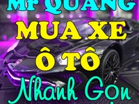 Cần mua các dòng vios, fortuner, innova, city, sedona, Everest, i10 Cần mua các dòng vios, fortuner, innova, city, sedona, Everest, i10