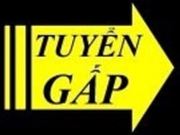 Bộ phận kho tuyển 04 nhân viên kiểm hàng đóng gói ại quầy siêu thị Bộ phận kho tuyển 04 nhân viên kiểm hàng đóng gói ại quầy siêu thị