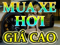 Ô tô Quang, chuyên mua xe ô tô về cho thuê. Mua xe ô tô giá cực cao, Ô tô Quang, chuyên mua xe ô tô về cho thuê. Mua xe ô tô giá cực cao,