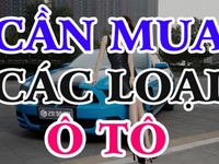 Mua xe Ô tô liên tỉnh. Mua các dòng xe ô tô 4 đến 16 chổ, mua các dòng Mua xe Ô tô liên tỉnh. Mua các dòng xe ô tô 4 đến 16 chổ, mua các dòng