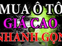 Mình cho thuê xe vào công ty nước ngoài nên cần nhiều xe Mình cho thuê xe vào công ty nước ngoài nên cần nhiều xe
