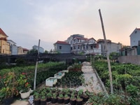 Lô đất nền vị trí đắc địa tại Phụng Công - Văn Giang Lô đất nền vị trí đắc địa tại Phụng Công - Văn Giang