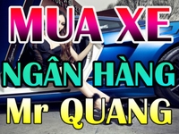 Quang Ô TÔ, chuyên mua các dòng xe 4 chổ, 5 chổ, 7 chôt, 16 chổ Quang Ô TÔ, chuyên mua các dòng xe 4 chổ, 5 chổ, 7 chôt, 16 chổ