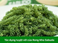 Rong nho Sabudo Combo mua 5 hộp tặng 3 hộp Rong nho Sabudo Combo mua 5 hộp tặng 3 hộp